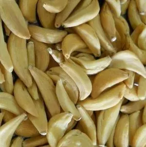 فصوص الثوم المجففة