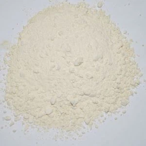 مسحوق لمبة الثوم