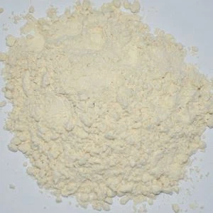 مسحوق الثوم صحي